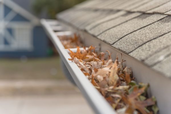 Leaf Barrier Installation in Spokane